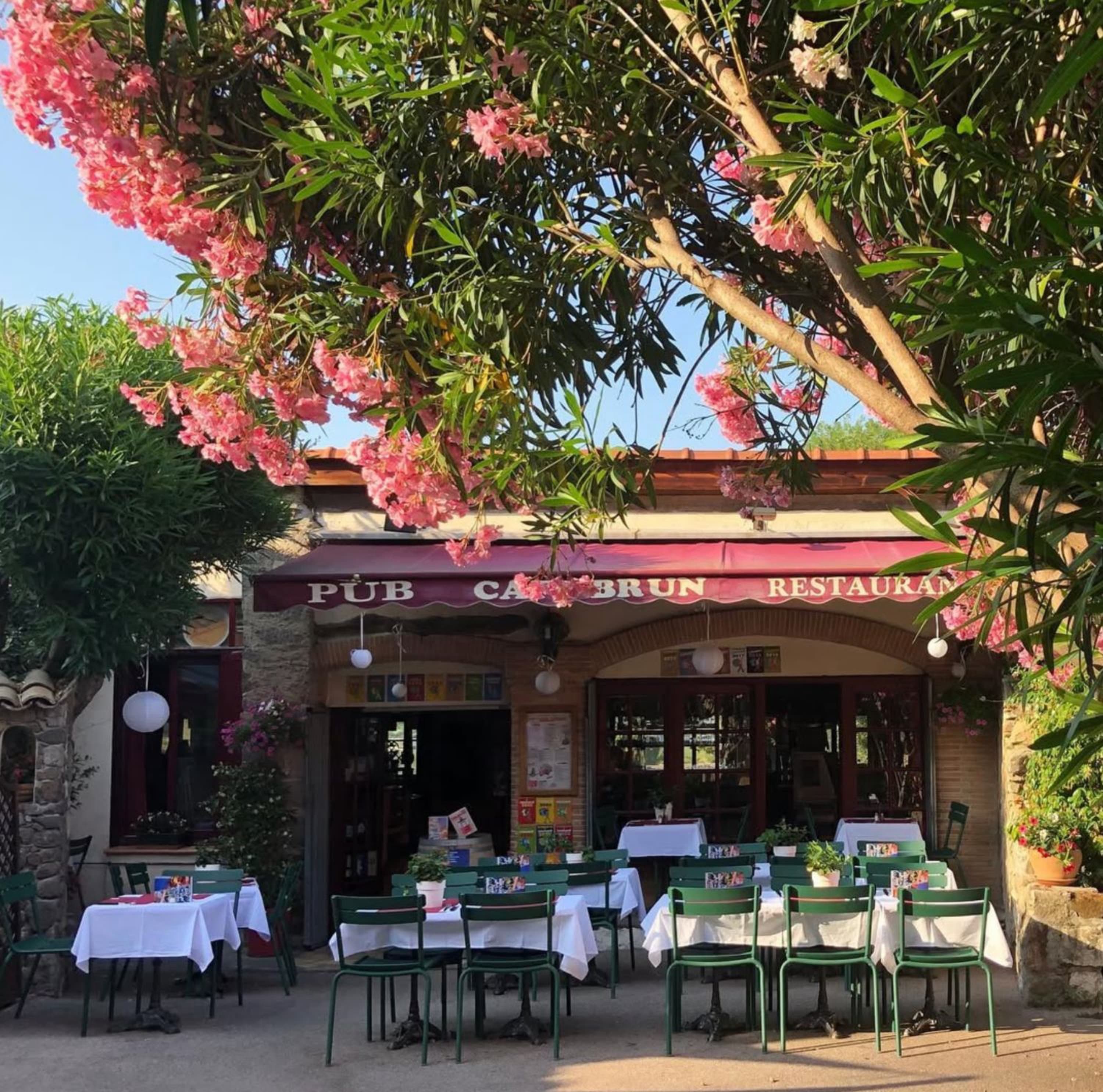 Café Brun — la terrasse sous les lauriers roses